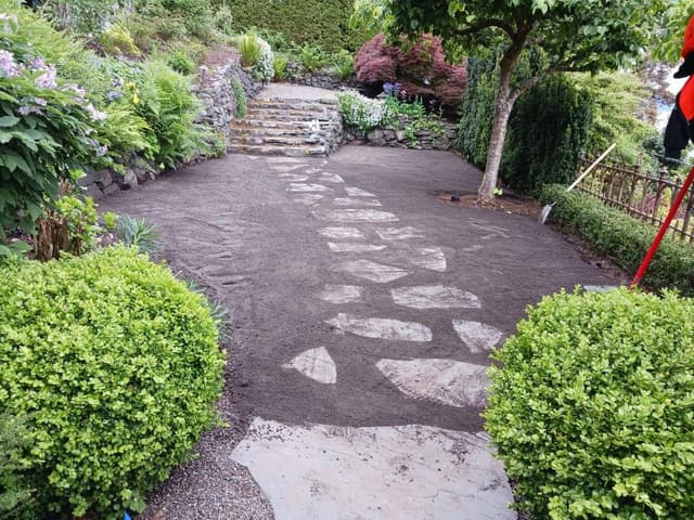 Disease Management - Shrubs