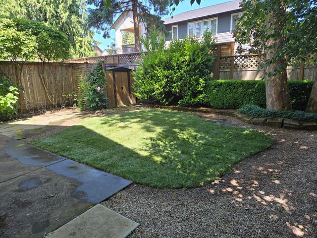 Insect Management - Shrubs