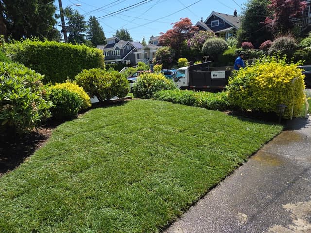 Greenscape Construction